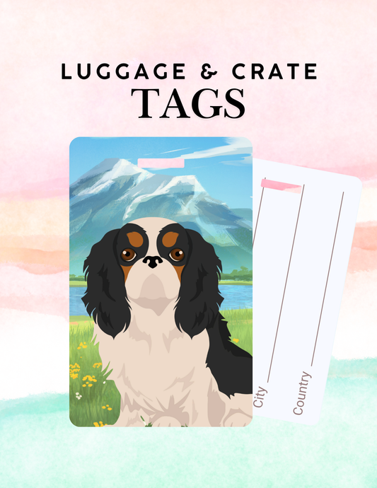 English Toy Spaniel Dog Metal Luggage/ Crate Tag