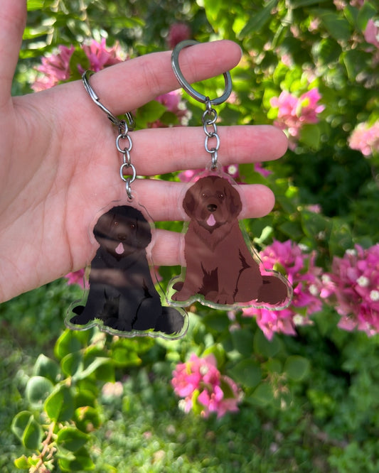 Newfoundland Dog 2.5in Acrylic Keychain