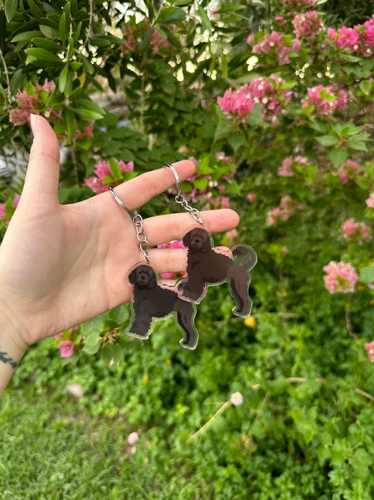Portuguese Water Dog 2.5in Acrylic Keychain