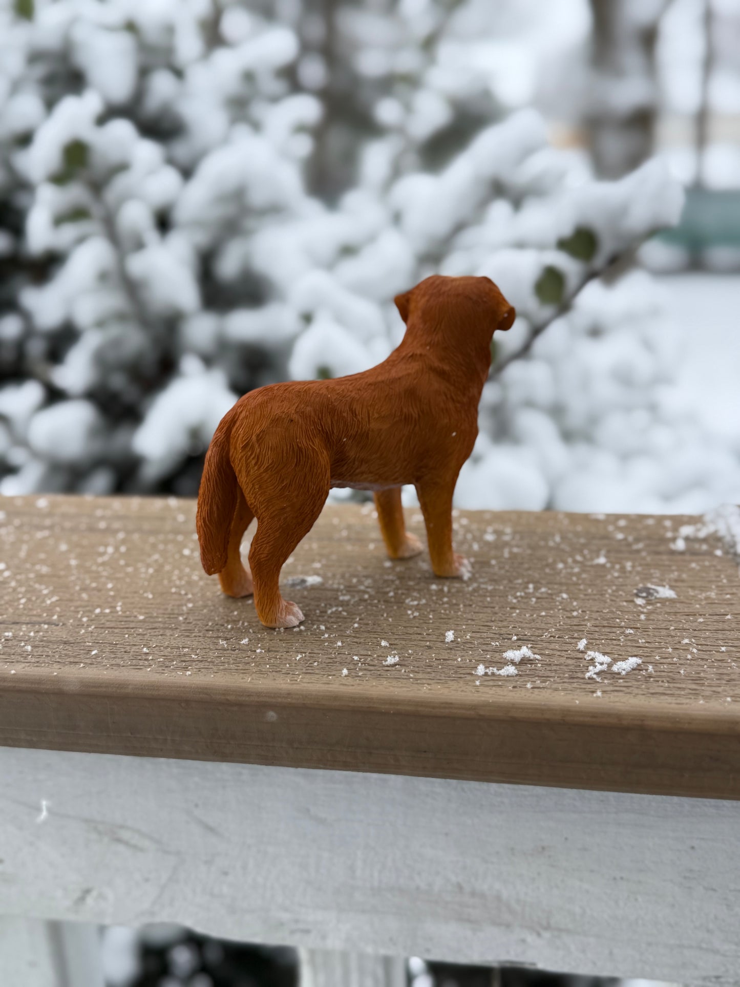 Nova Scotia Duck Tolling Retriever Dog Figurine
