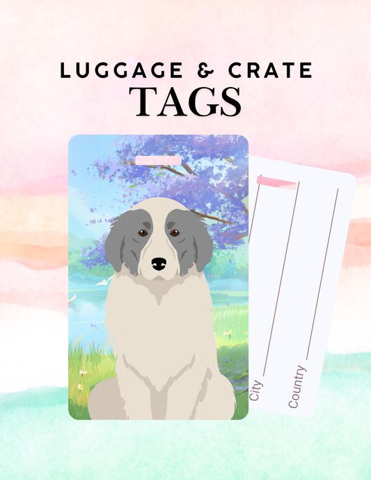 Greater Swiss Mountain Dog Dog Metal Luggage/ Crate Tag