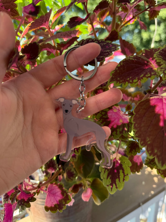 Italian Greyhound Dog 2.5in Acrylic Keychain