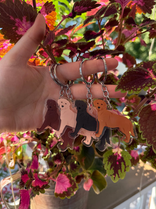 Labrador Retriever Dog 2.5in Acrylic Keychain