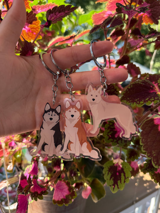Alaskan Husky Dog 2.5in Acrylic Keychain