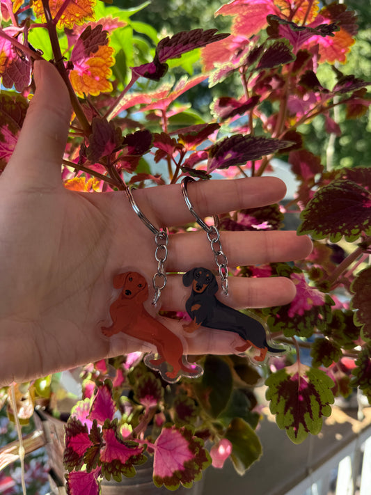 Dachshund Dog 2.5in Acrylic Keychain