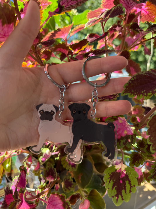 Pug Dog 2.5in Acrylic Keychain