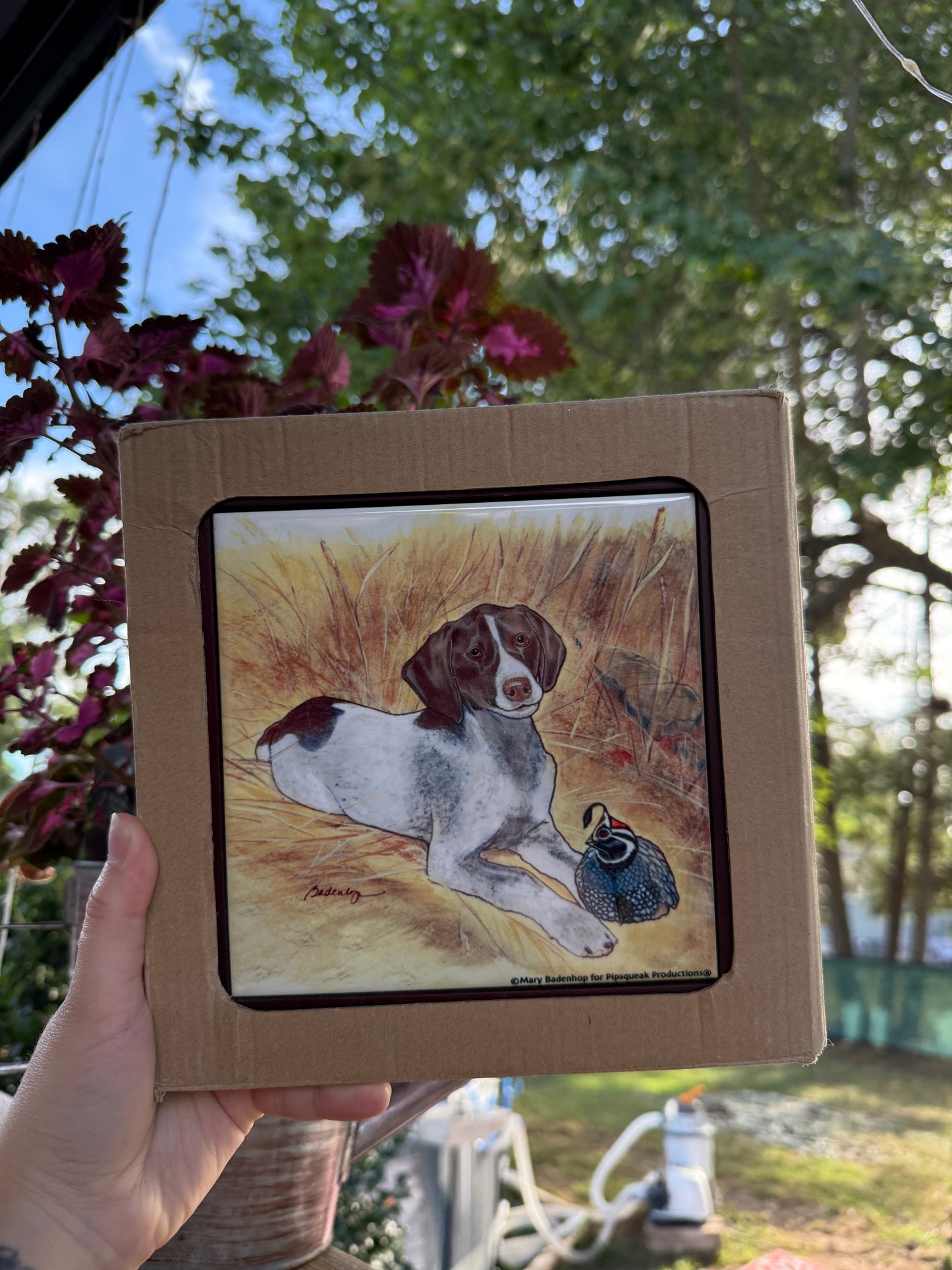 German Shorthaired Pointer Dog Trivet