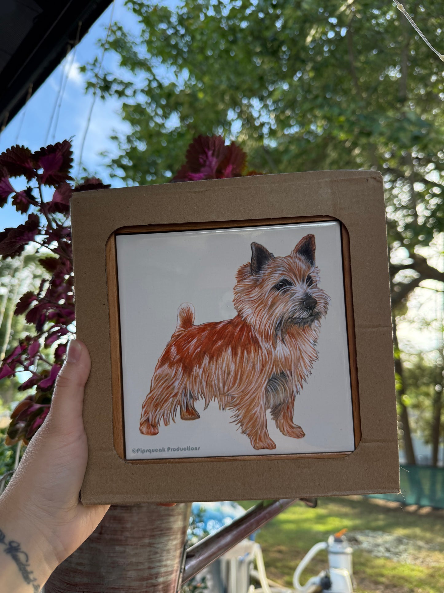 Norfolk Terrier Dog Trivet