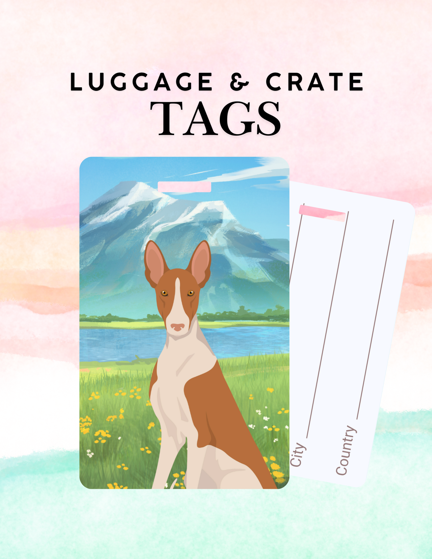 Ibizan Hound Dog Metal Luggage/ Crate Tag
