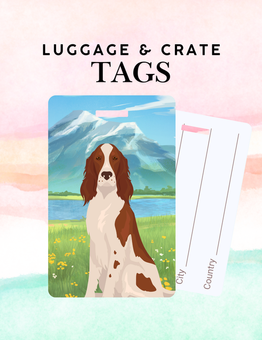 Irish Red and White Setter Dog Metal Luggage/ Crate Tag