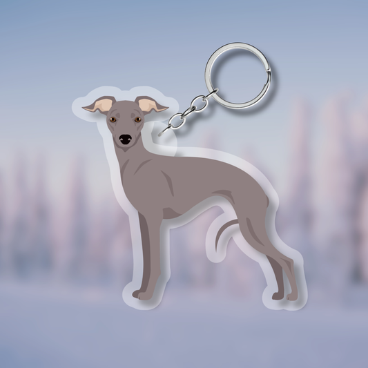 Italian Greyhound Dog 2.5in Acrylic Keychain