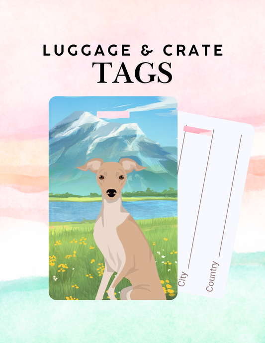 Italian Greyhound Dog Metal Luggage/ Crate Tag