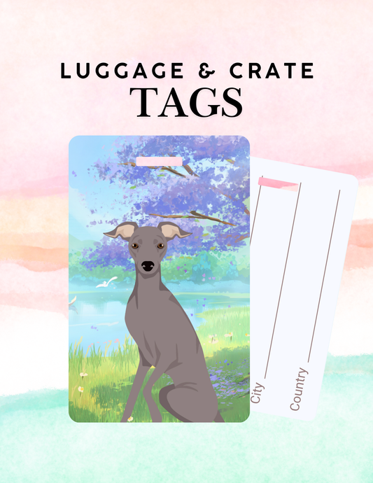 Italian Greyhound Dog Metal Luggage/ Crate Tag