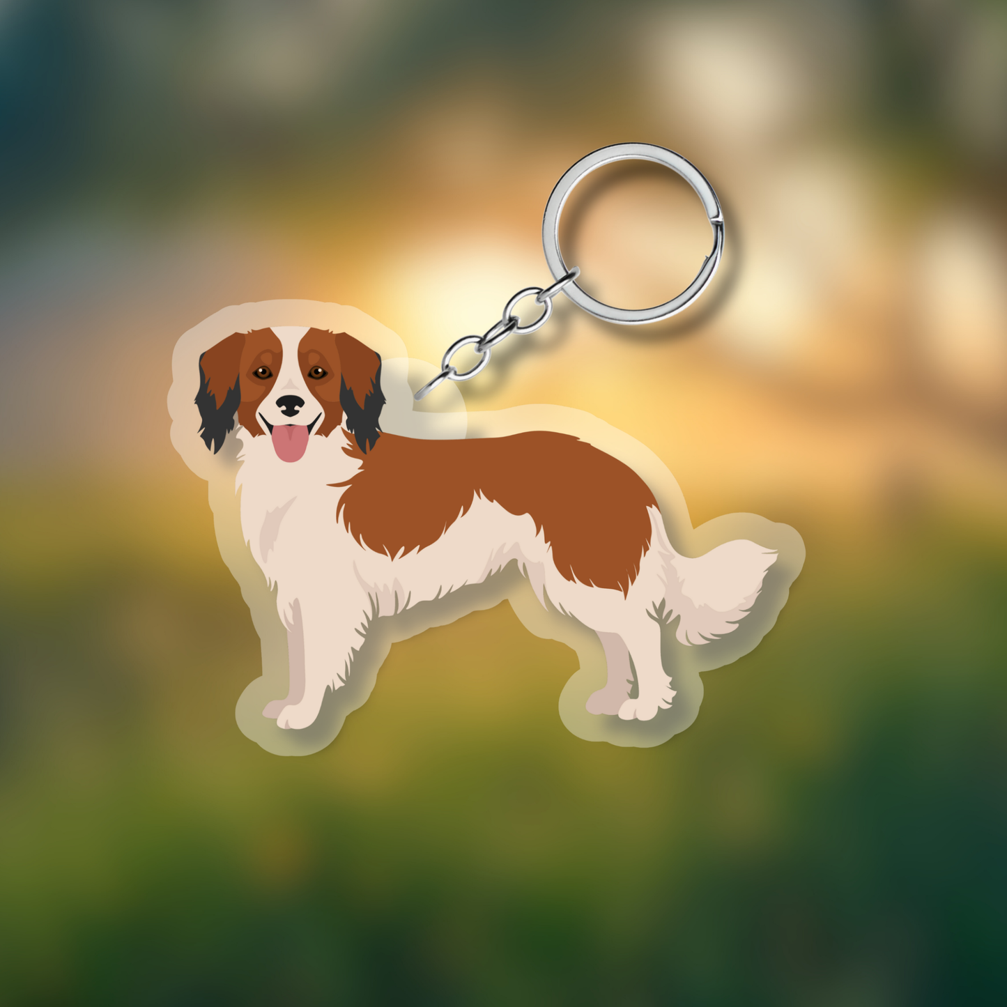 Kooikerhondje Dog 2.5in Acrylic Keychain