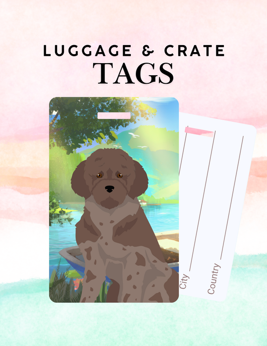 Lagotto Romagnolo Metal Luggage/ Crate Tag