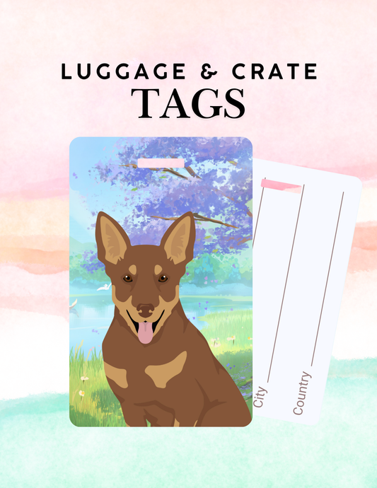 Lancashire Heeler Metal Luggage/ Crate Tag