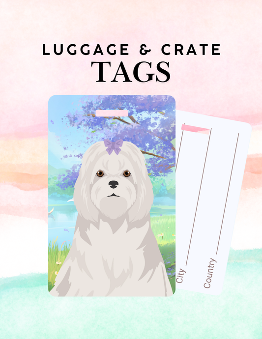 Maltese Metal Luggage/ Crate Tag