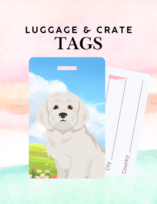 Maltese Metal Luggage/ Crate Tag