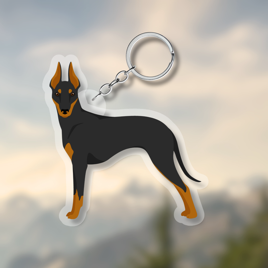 Manchester Terrier Dog 2.5in Acrylic Keychain