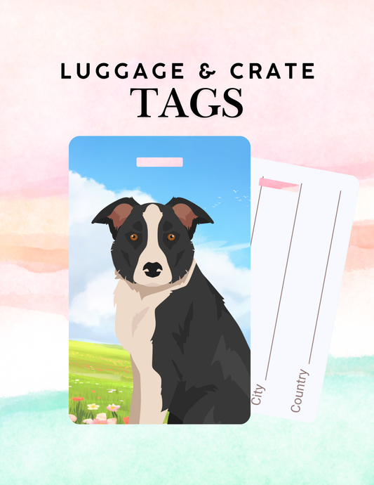 McNab Dog Metal Luggage/ Crate Tag