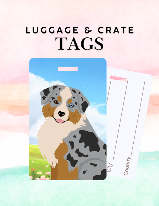Miniature American Shepherd Dog Metal Luggage/ Crate Tag