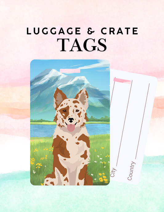 Mudi Dog Metal Luggage/ Crate Tag