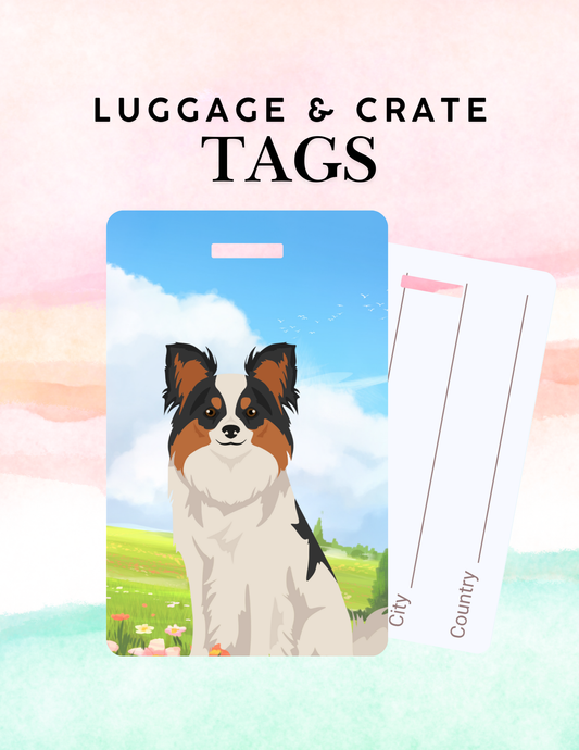 Papillon Dog Metal Luggage/ Crate Tag