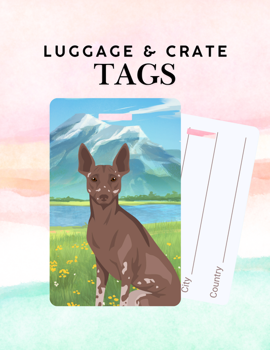 Peruvian Inca Orchid Dog Metal Luggage/ Crate Tag