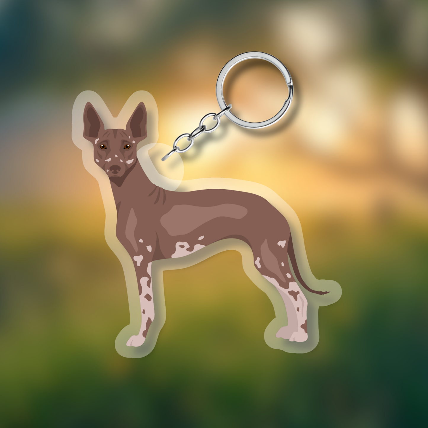 Peruvian Inca Orchid Dog 2.5in Acrylic Keychain