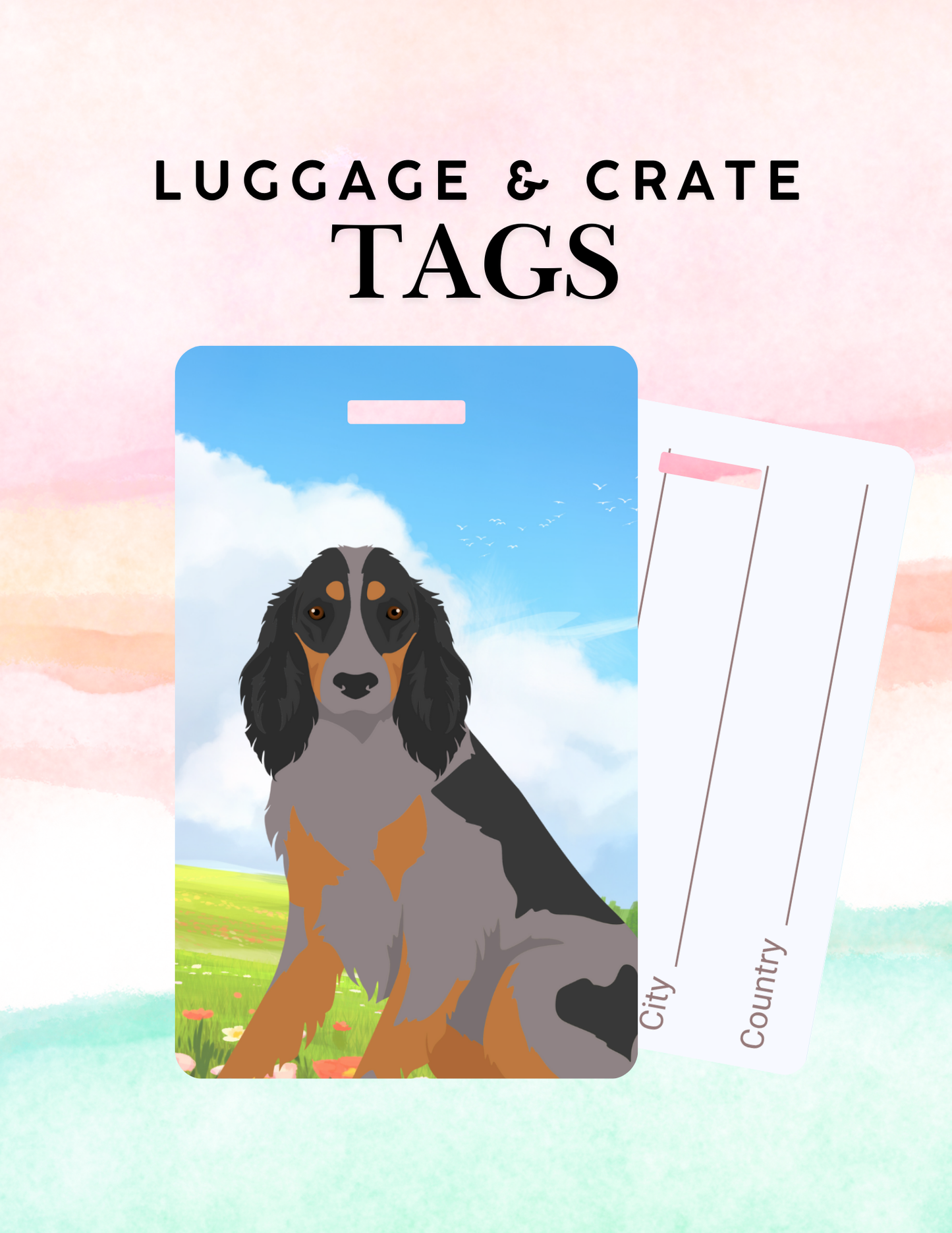 Picardy Spaniel Dog Metal Luggage/ Crate Tag
