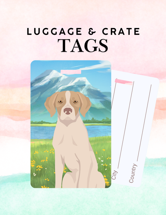 Pointer Dog Metal Luggage/ Crate Tag