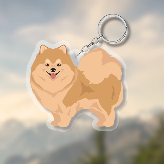 Pomeranian Dog 2.5in Acrylic Keychain