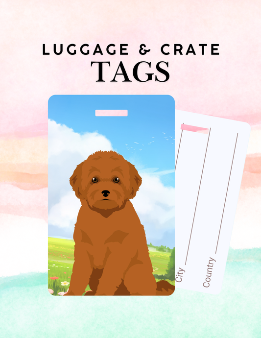 Poodle Dog Metal Luggage/ Crate Tag
