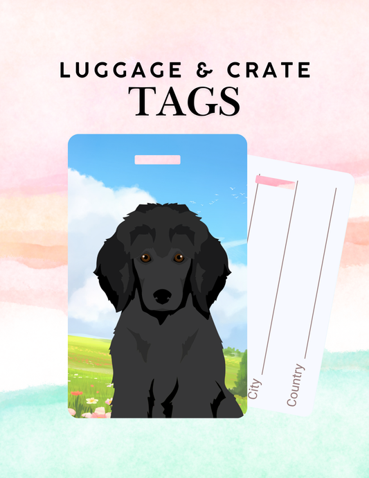Poodle Dog Metal Luggage/ Crate Tag