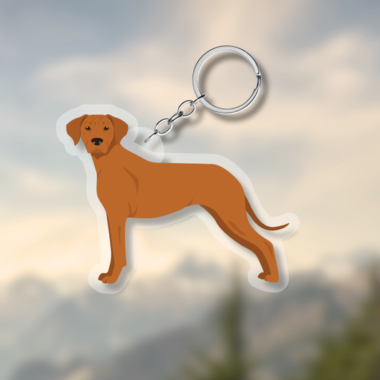 Rhodesian Ridgeback Dog 2.5in Acrylic Keychain