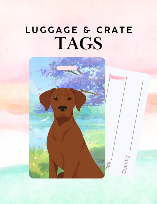 Rhodesian Ridgeback Dog Metal Luggage/ Crate Tag