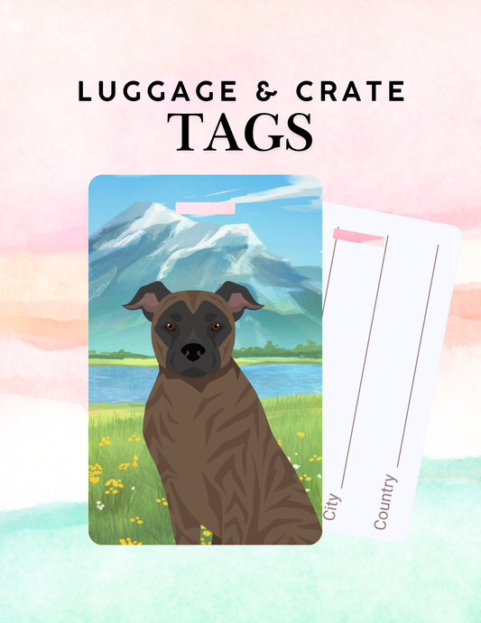 St Miguel Cattle Dog Dog Metal Luggage/ Crate Tag