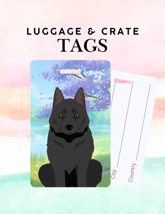 Schipperke Dog Metal Luggage/ Crate Tag