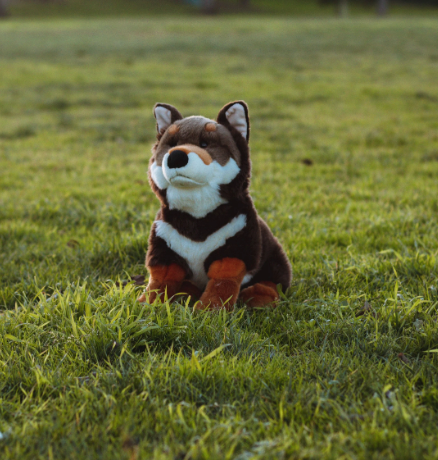 Haku the Shikoku Ken Dog Plush 15in