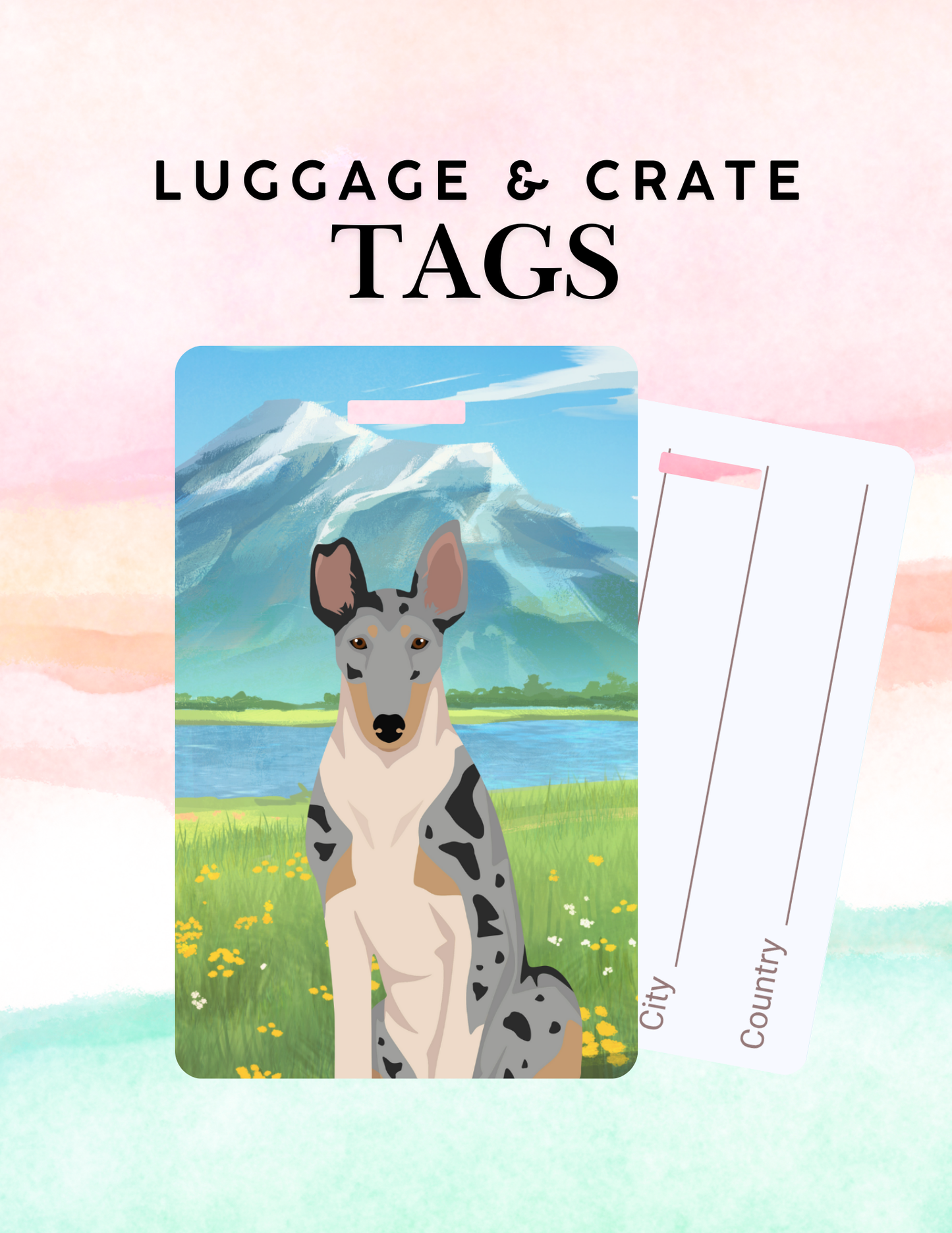 Smooth Collie Dog Metal Luggage/ Crate Tag
