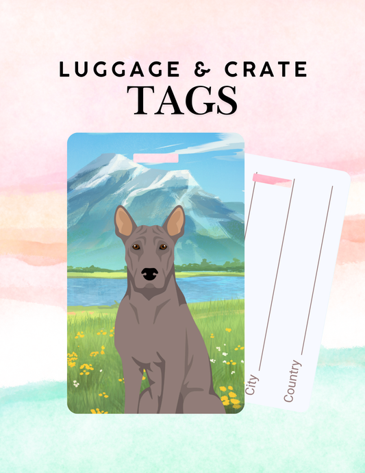 Thai Ridgeback Dog Metal Luggage/ Crate Tag