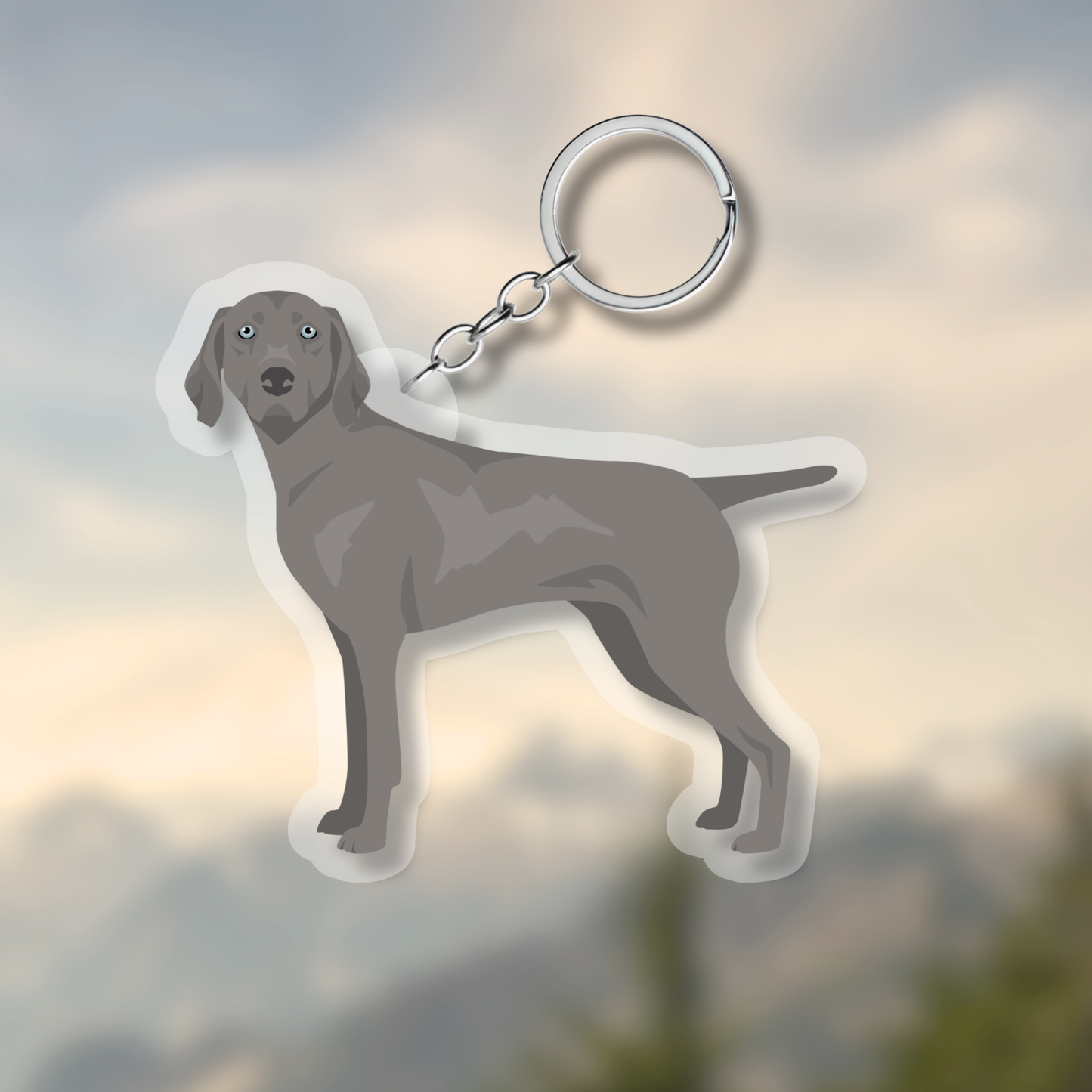 Weimaraner Dog 2.5in Acrylic Keychain