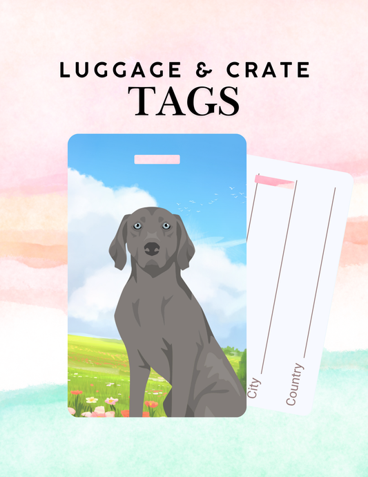 Weimaraner Dog Metal Luggage/ Crate Tag