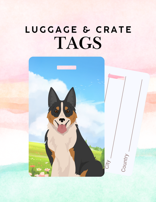 Welsh Sheepdog Dog Metal Luggage/ Crate Tag