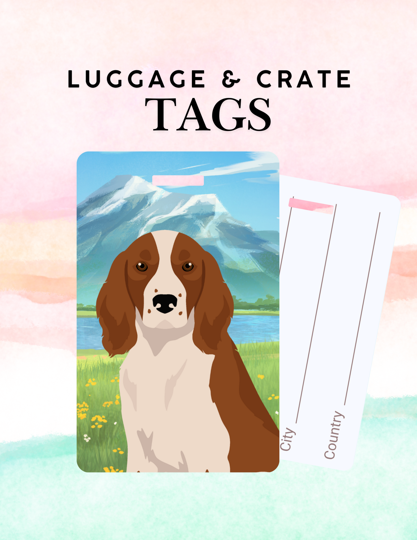 Welsh Springer Spaniel Dog Metal Luggage/ Crate Tag