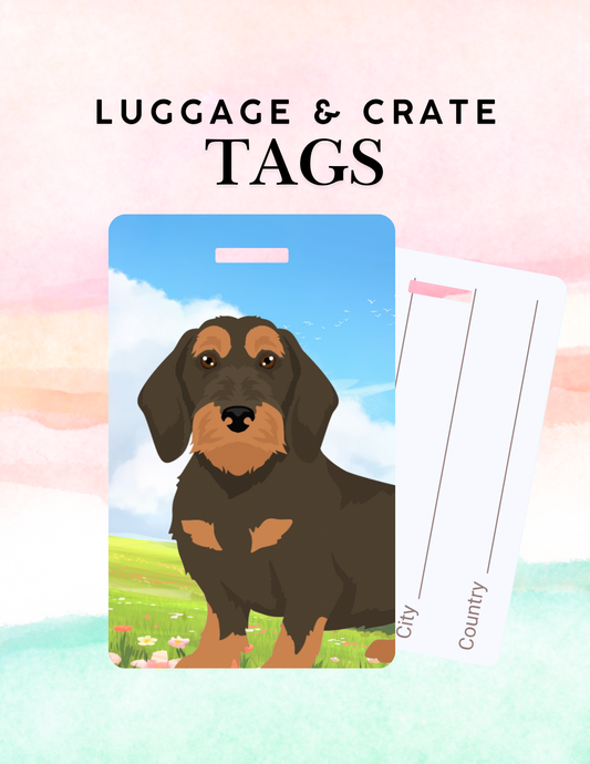 Wirehaired Dachshund Dog Metal Luggage/ Crate Tag