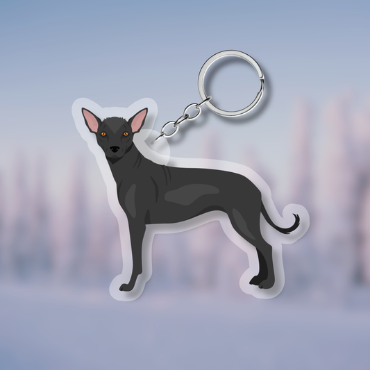 Xoloitzcuintli Dog 2.5in Acrylic Keychain