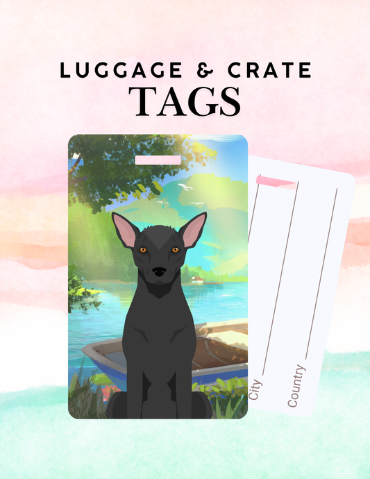 Xoloitzcuintli Dog Metal Luggage/ Crate Tag